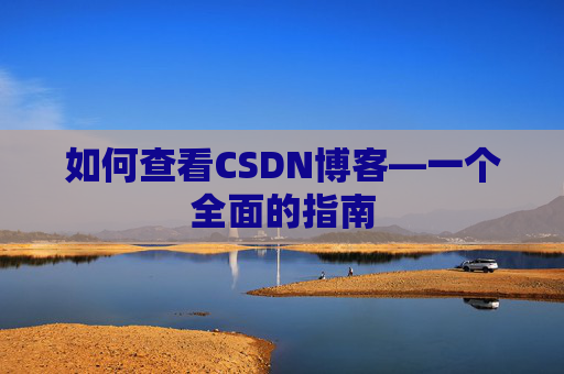如何查看CSDN博客—一个全面的指南